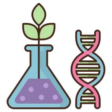 two test tubes with a plant in them
