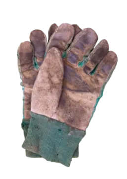 a pair of gloves on a white background
