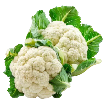 a bunch of caulia on a white background