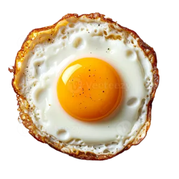 a fried egg on a white background