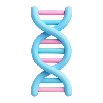 a blue and pink double helix chromosome