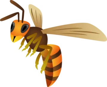 an illustration of a bee