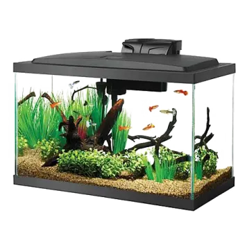 a fish tank filled with water and plants