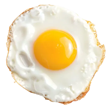 a fried egg on top of toasted bread