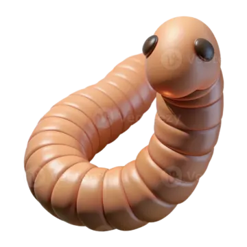 an image of a worm on a white background