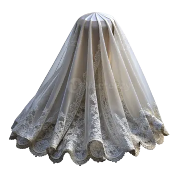 a wedding veil on a white background
