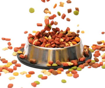 a metal bowl filled with dog food