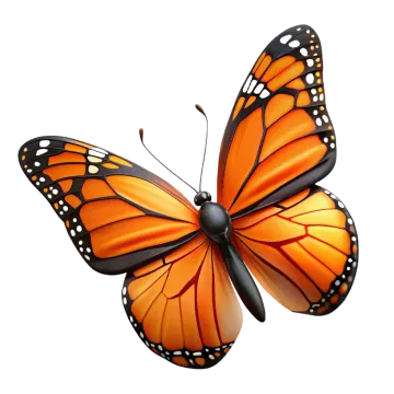 a monarch butterfly on a white background