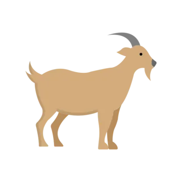 a brown goat standing on a white background