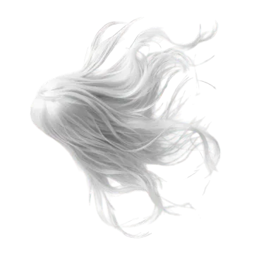 a drawing of a woman's hair