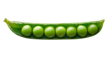 a green peas pod on a white background