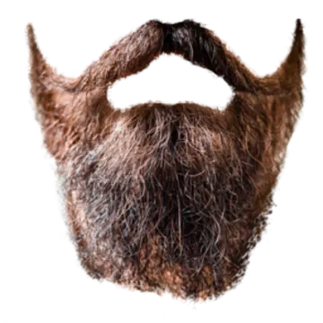 a close up of a man's hair and beard