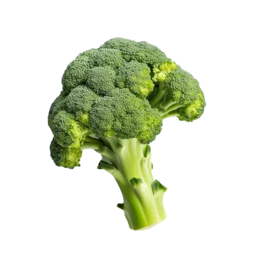 a close up of a piece of broccote
