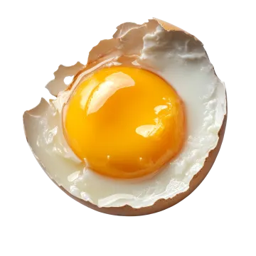 a fried egg in a cracked egg shell