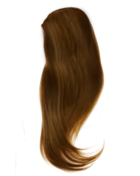 a long brown hair