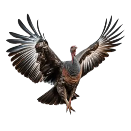 a turkey is flying in the air