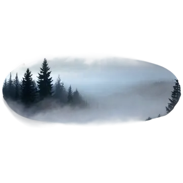 a black and white image of trees in the fog