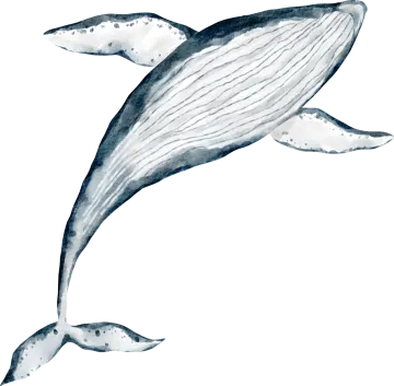 a whale in watercolor on a white background