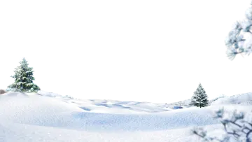 a picture of a snowy landscape with trees