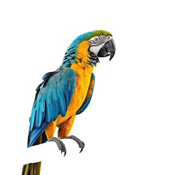 a blue and yellow parrot perched on a branch