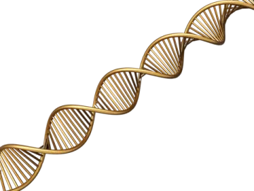 an illustration of a double helix dna