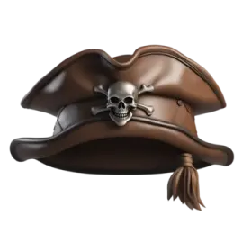 a pirate hat with a skull on it