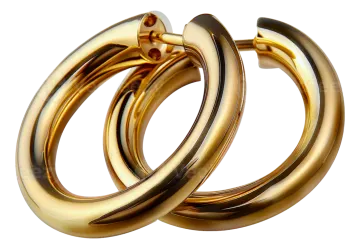a pair of gold hoop earrings