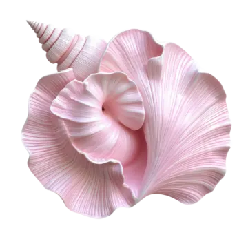 a pink flower on a white background
