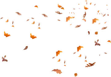 a group of falling leaves in the air