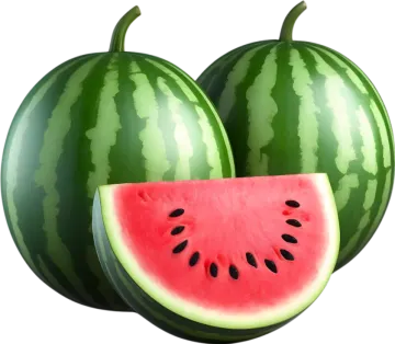 watermelon isolated on a white background