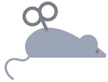 a mouse on a white background