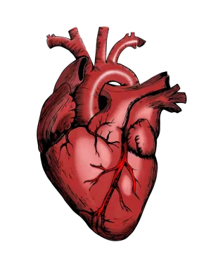 a red heart with an arrow in the middle
