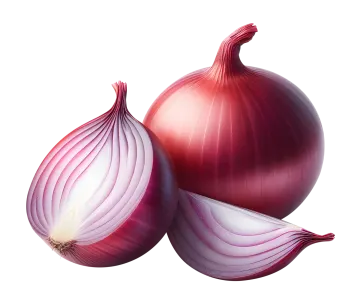 two red onions on a white background