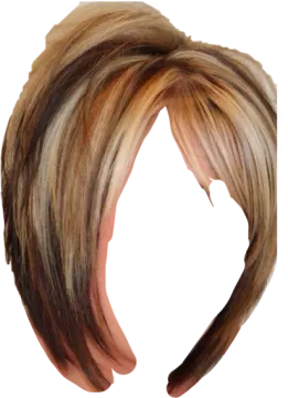 a woman's hair with blonde and brown highlights