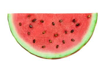 a slice of watermelon