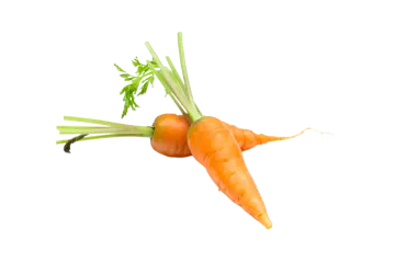 a bunch of carrots on a white background