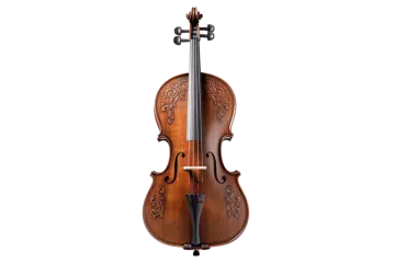a violin on a white background