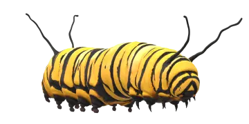 a yellow and black striped cater