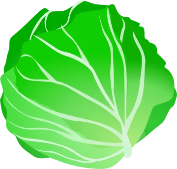 a green leaf with white stripes