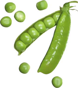 a green pea and peas on a white background