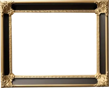 a black and gold frame on a white background