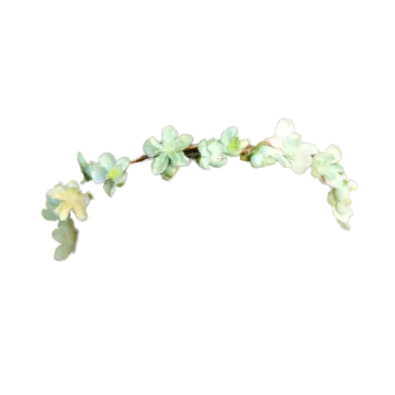 a white flower with green leaves on it