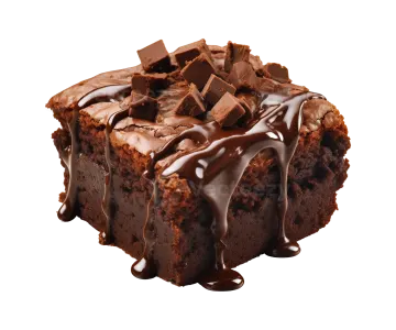 a close up of a piece of chocolate cake