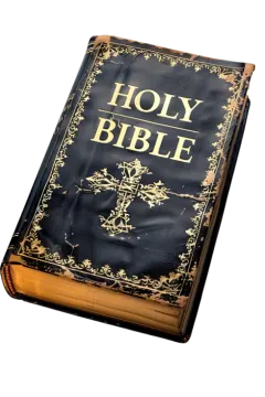 a black and gold book with the words joy be