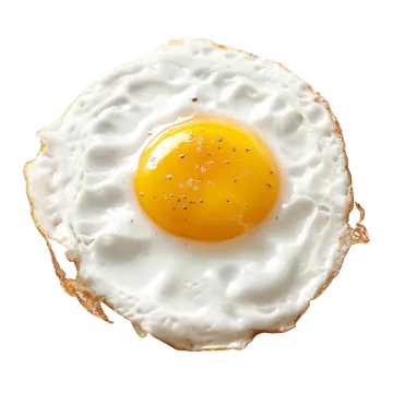 a fried egg
