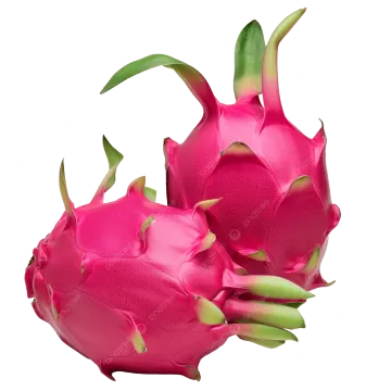 dragon fruit on white background