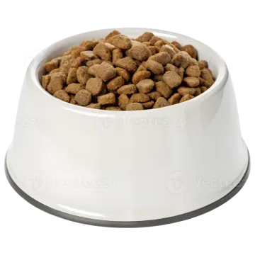 a white bowl filled with dry food
