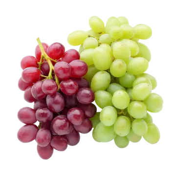 a bunch of grapes on a white background