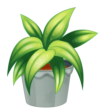 a green plant in a pot