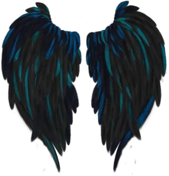 a pair of black and teal feathers